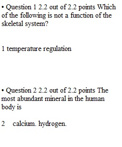 Quiz 2